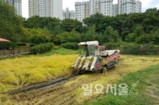 고양시, 안곡습지공원 묵논이 베푼 사랑