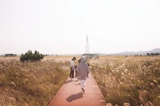 [Go-On 여행 이야기] 시화방조제 너머…당일치기 섬나라산책