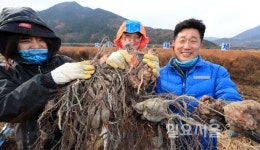 한겨울 건강 산청 약초로 지키세요