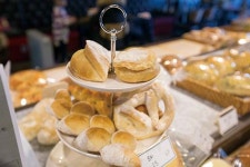 [Go-On 여행 이야기] 우리 잠시 걸을까…걸음의 미학, 대구