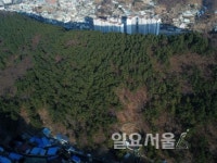 한국임업진흥원, 소나무재선충병 재발생의 따른 합동 예찰조사 실시