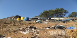 비봉산 봉황 숲 생태공원 조성사업 본격 추진