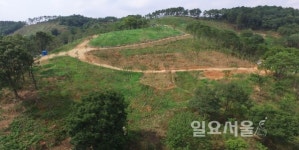 비봉산 봉황 숲 생태공원 조성사업 본격 추진