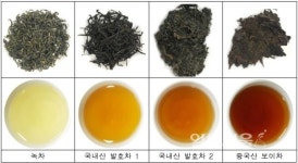 국내산 발효차, 중국 보이차 만큼 갈산 많다