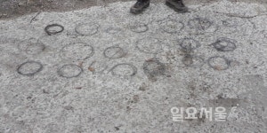 지리산 야생동물 보호를 위한 밀렵도구 수거