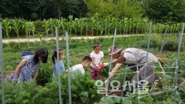 고양시 대화도서관, 도심 속 농부학교 열려