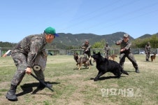 공군교육사령부, 군견훈련사 자격시험 치뤄