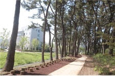 익산시, 유천생태습지 안 체험 숲길 조성…자연친화공간으로 거듭나