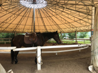 인천시 미래의 승마인, 학생에게 승마체험 기회 제공