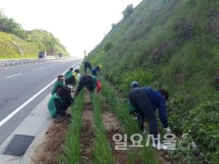 양주시 은현면, 시민참여 꽃 심기 실시
