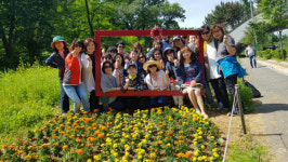 인천남동구 논현고잔동 유채꽃 포토존 각광