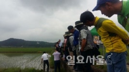 파주시, 쌀 연구회 현장 연찬회 개최