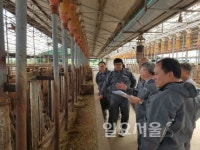 양주시, 맞춤형 종합컨설팅으로 한우농가 애로기술 해결