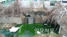 고양시, 하절기 환경오염행위 특별감시ㆍ단속 실시