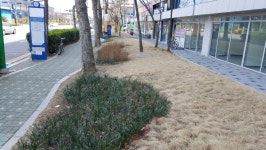 남동구, 남동공단 공공공지 꽃이 피는 공간으로 단장