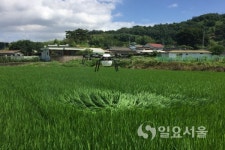 진주시, 벼 병해충 공동방제 적극 추진