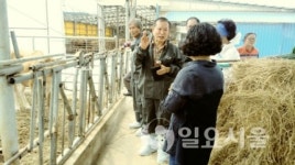 포천시, 한우농가 맞춤형 종합컨설팅 실시