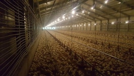 정찬수 전남농업기술원 기술보급과장, 함평군 축산현장 방문