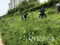 고양시, 시민 주도 생태환경 프로그램 참여자 모집