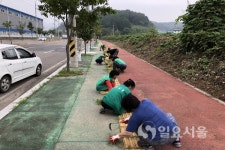 진주시 사봉면 새마을회, 추석맞이 환경정비 나서