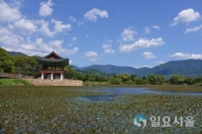 10월에 가볼만한 곳, 소설 토지의 무대 평사리