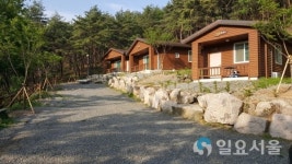 단풍으로 물 들어가는 산촌으로의 가을여행