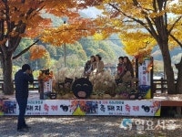 가을색 지리산과 흑돼지, 지리산 마천골 최고의 힐링 축제