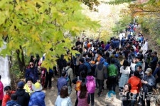 하동군 회남재 숲길 걷기 행사 연다