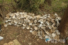 김해 상동 분청가마터에 이어 백자가마터까지 발굴