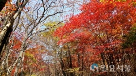 지리산, 10월말 단풍절정