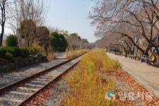 음지의 역사를 이겨내고 가장 밝은 곳이 된 경화동