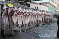 거제대구수산물축제가 거제 외포항에서 열린다