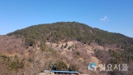 남해군, 이동 무림지구 자연장지 조성