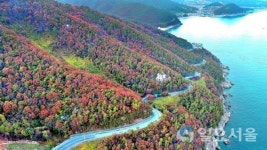 보물섬 남해로 드라이브 떠나자