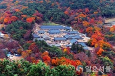 합천 해인사, 올해도 한국관광 100선 선정