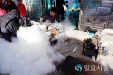 설을 맞이하는 창녕 전통시장(남지, 이방, 창녕)의 풍경