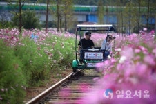 설 연휴 가족과 함께 가볼만한 곳은?