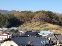 산청군 오부면 양촌마을 편백나무숲 조성한다