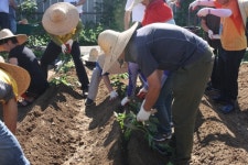 서울시, 귀농‧귀촌 맞춤 교육…올해 500명 무료