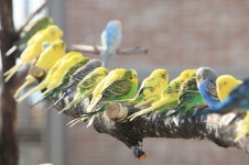울진 엑스포공원, 동물농장 이전 재개장