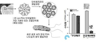 윤성철 전 석좌교수, 미생물학 100년 난제 풀어