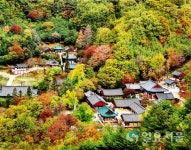 쌍계사, 하동군민에 입장료 감면