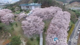 연암·서부도서관 리모델링 한다