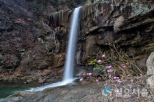 황계폭포의 봄날