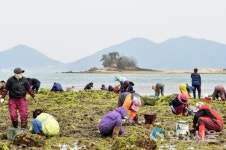 남해군 설천면 모천마을, 바래
