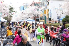 양천구 신월5동, 4월 6일(토) 제11회 방아다리 벚꽃축제 개최