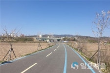 진주시, 자전거 도로변에 벚나무를 수놓다