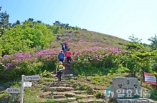 남해 망운산 철쭉제 및 등반대회 개최