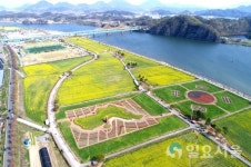 미리 가본 창녕낙동강유채축제