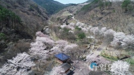 의령 궁류 벽계야영장 20일 개장